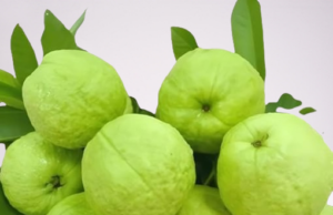 ফল হিসেবে পেয়ারা কেমন এবং আপনি এটি কেন খাবেন? পেয়ারা