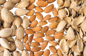 কাঠবাদাম ডায়াবেটিস ও হার্টকে সুস্থ্য রাখতে পারে কাঠবাদাম